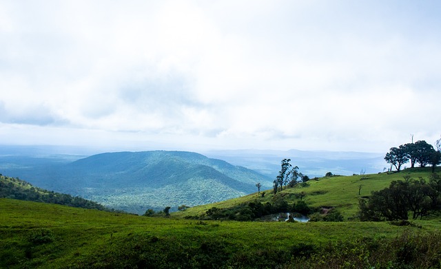 运会的闭幕 运会的闭幕