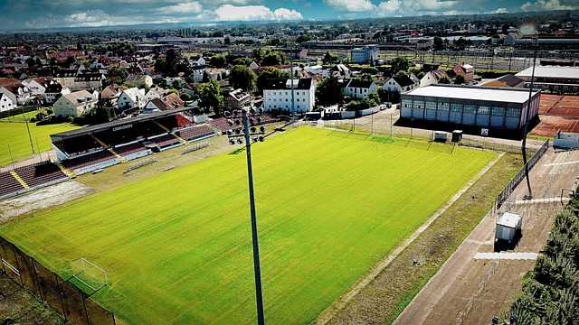 匹克精神的 匹克精神的