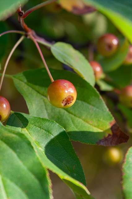 快速攻击 快速攻击